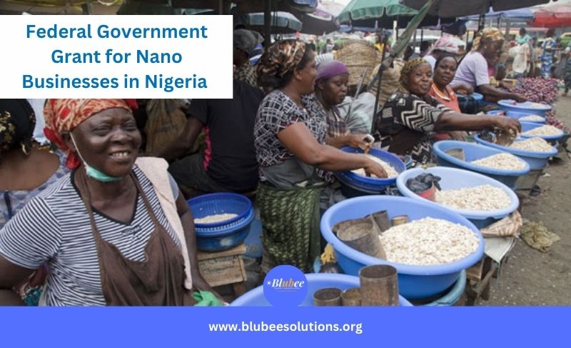 Apply Now | Federal Government Grant for (Micros) Small Business in Nigeria